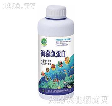 �����~����-��@���S-