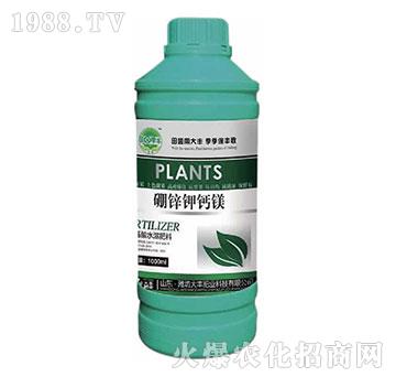 ���\��}�V-��@���S-