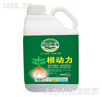 ������-��@���S-���S