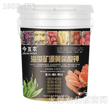 ����VԴ�S�����-���r(n��ng)