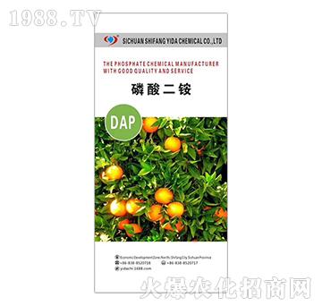 ������@-�����_(d��)