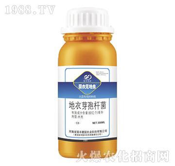 ���⌣�ð�N��-���o(w��)���x-��(gu��)�S���@