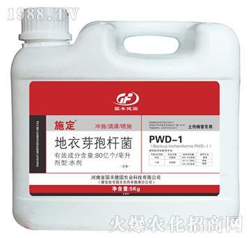 �����������õ���ѿ�ߗU��-ʩ��-���S���@