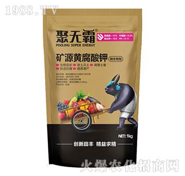 微生物型礦源黃腐酸鉀-聚無霸-田豐生化