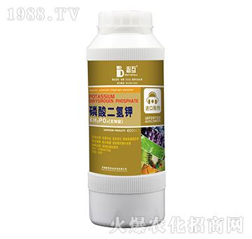 ��������-�W���r(n��ng)�I(y��)