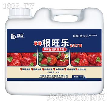 ��ݮ�����������÷�-��