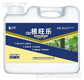 �S���������猣�÷�-��