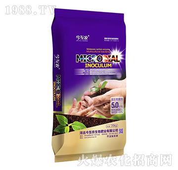 微生物菌劑-今互農