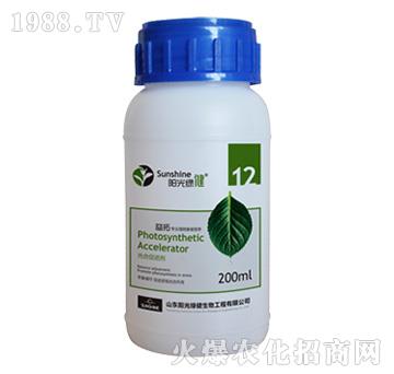 ��ϴ��M��-����-12-ꖹ�G��