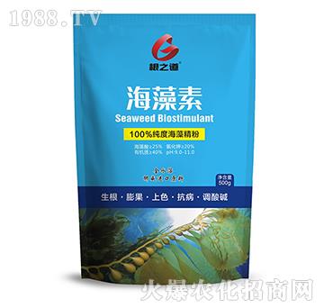 ������-��֮��