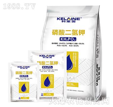 ��������-���R��-�W