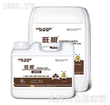 ����ֲ��ˮ�ܷ���-����