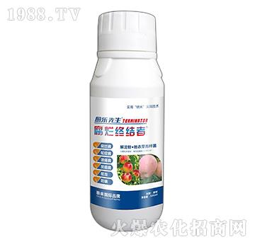 ����ۡ�����ѿ�ߗU��-�����K�Y��-��������-̩��