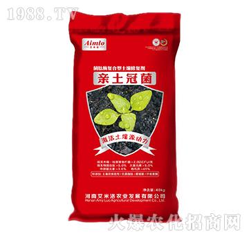 ����ø��(f��)���������ޏ�(f��)��-�H���ھ�-������