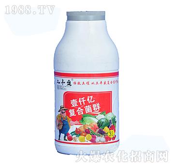 �����{�턩-���Sʢ-�����_