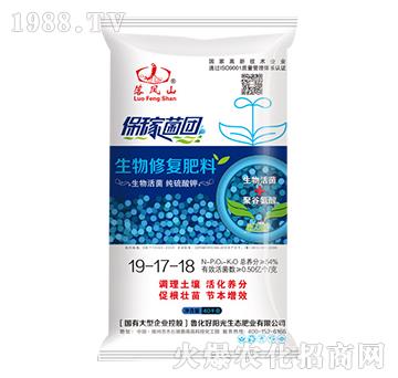 �����ޏͷ���19-17-18-���Pɽ-����