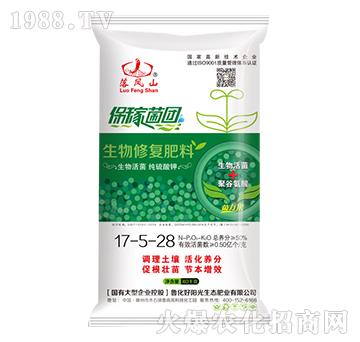 �����ޏͷ���17-5-28-���Pɽ-����