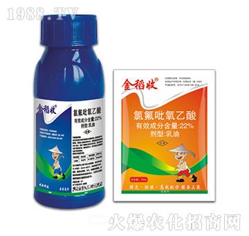 22%�ȷ���������-����-�ݵ�˹