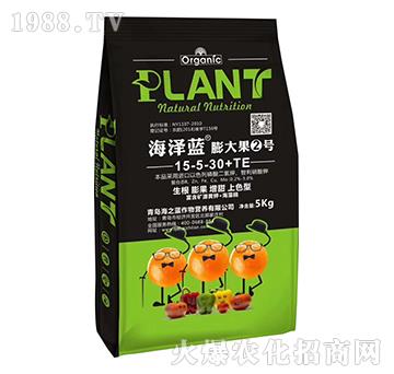 ����2̖-�����{-��