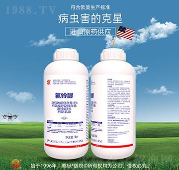 5%�����-��ռ�r�Y