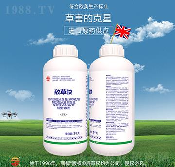 200��ÿ�����ݿ�-��