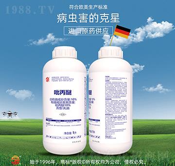 10%������-��ռ�r�Y