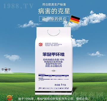 10%���Ѽ׭h(hu��n)��-��ռ