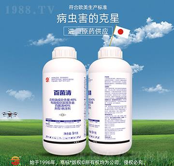 40%�پ���-��ռ�r�Y