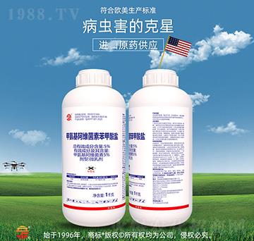 5%�װ������S���ر������}-��ռ�r�Y