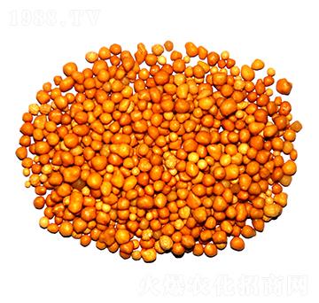 ����n�w����ጷ�15-