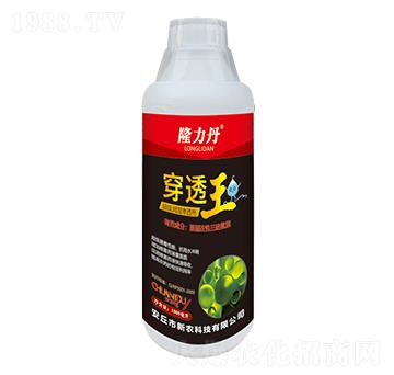 ��������B͸��-��͸��-���r