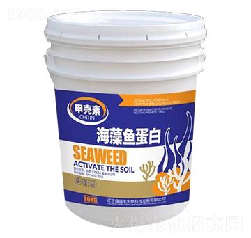 �����~(y��)����-�����S