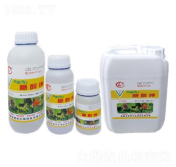 �Ǵ��-������(d��ng)��-�W������