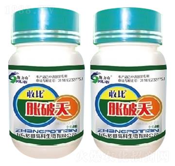 Û����-�ұ�-ԣ��߿�