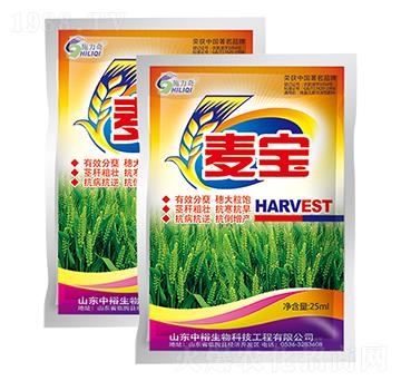 ����-ʩ����-ԣ��߿�