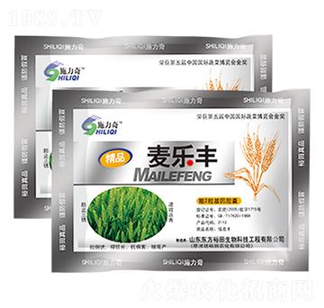 ����(l��)�S-ԣ��߿�