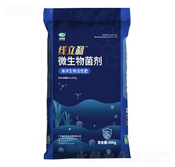 �����x΢�������-������