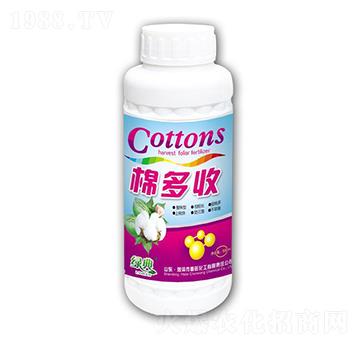 �޶���-�G��-��������