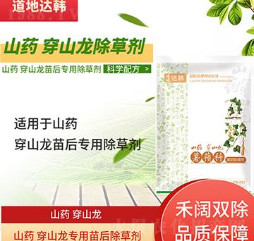 ɽˎ��ɽ�����݄�-ɽˎ��ɽ�����-ɽˎ��ɽ������-���n