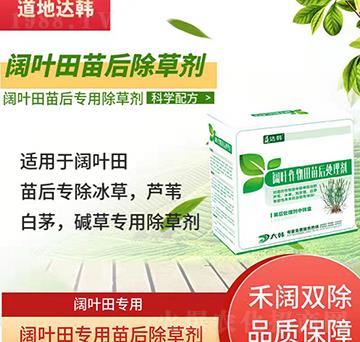 ��~�Ƴ��݄�-��~�����-��~�ƌ���-���n