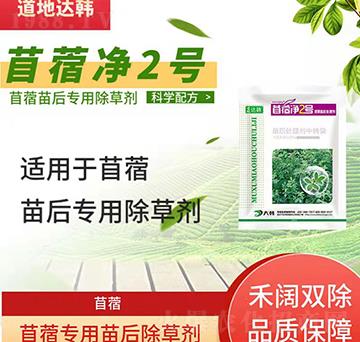 ��ޣ���݄�-��ޣ���-��ޣ����-���n