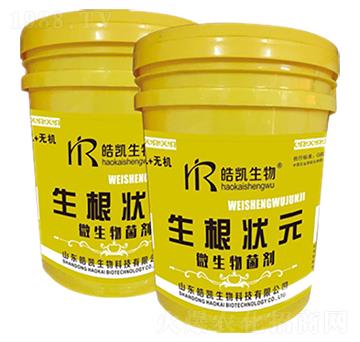 ΢�������-������Ԫ-�P����