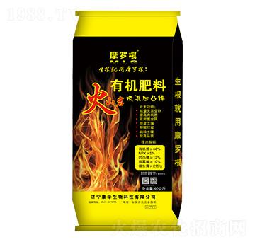 ��ɽ�r�ЙC����-Ħ�_��-���A����