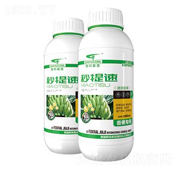 �㽶����-�����٣���Ч�����-��μ�