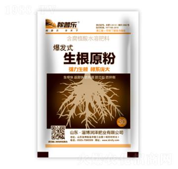 ���l(f��)ʽ����ԭ��-���՘�(l��)