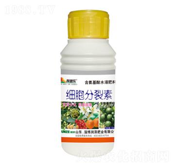 ��(x��)��������-���՘�(l��)-��(r��n)