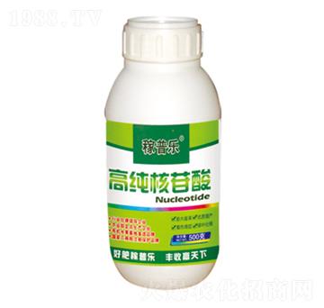 �߼�������-���՘�(l��)-��(r��n)�ɷʘI(y��)