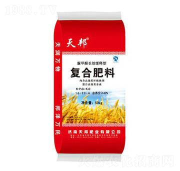 �ͺϷ���16-20-6-���-�f��