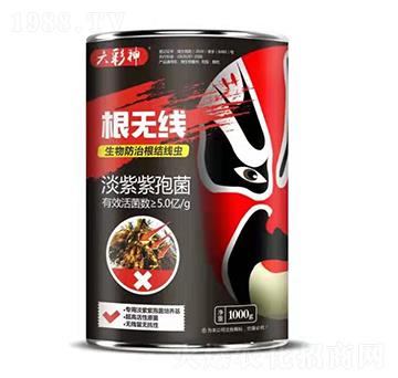 淡紫紫孢菌-根無線-萬邦