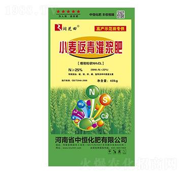 小麥返青耀漿肥 潤(rùn)芝田 中恒化肥